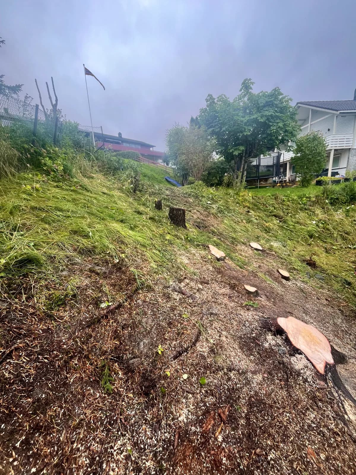 Ryddet skråning i boligfelt etter vegetasjonsrydding og krattrydding